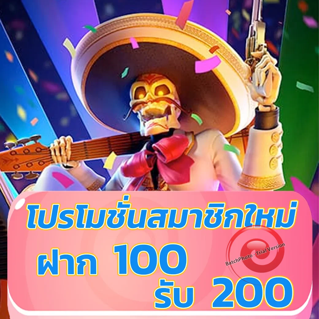 iprobet168 เว็บตรง